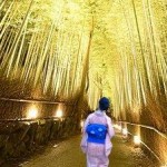 元気です、京都嵐山！