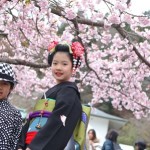 結婚式、ご披露宴、パーティー、カジュアルウエディング、入学式、卒業式など様々なフォーマルシーンにLojeオリジナルブランド着物は唯一京都にここだけです。ひと際美しく品格があり可愛さやレトロモダン、粋さを演出。素材は上質日本製シルク100％
